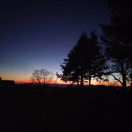 3 Tan Y Coed Villa Brynkir Eksteriør billede